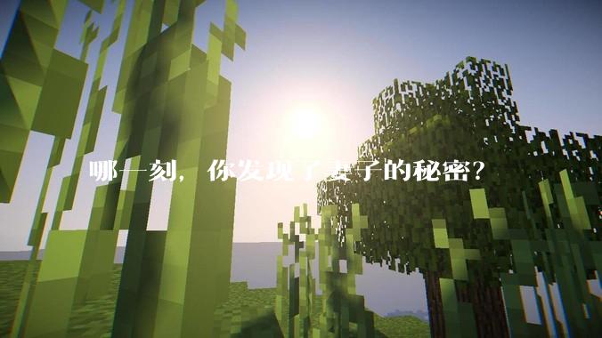 哪一刻，你发现了妻子的秘密？